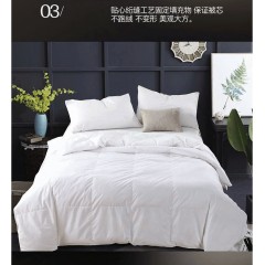 花花公子 尚品羽绒被 200cm*230cm HYRB-01