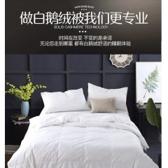 花花公子 尚品羽绒被 200cm*230cm HYRB-01