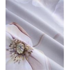 水星家纺 奕然全棉抗菌四件套 1.5m床 200cm×230cm 122097