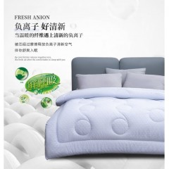 水星家纺 悠然负离子四季被 200*230cm 123192