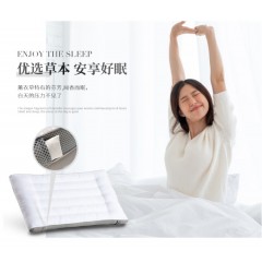 水星家纺 贝利芙薰衣草抗菌枕 48*74cm 123036