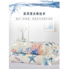 洁丽雅 云感柔肤大豆被 2250g  200*230cm CP1010-1