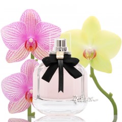 圣罗兰 反转巴黎光耀女士淡香水50ml