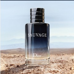 克丽丝汀迪奥 旷野男士淡香水60ml