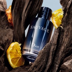 克丽丝汀迪奥 旷野男士淡香水60ml