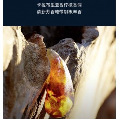 克丽丝汀迪奥 旷野男士淡香水60ml