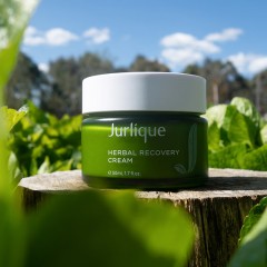 茱莉蔻草本肌源焕新面霜 50ml