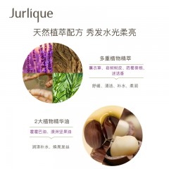 茱莉蔻 薰衣草/檀香木 洗发露 300ML