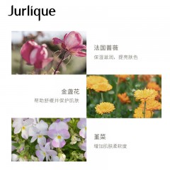 茱莉蔻 玫瑰/薰衣草/柑橘 护手乳霜 40ML
