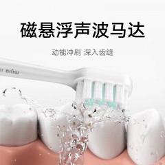 小米  电动牙刷  T200C