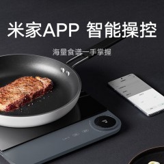小米  智能超薄电磁炉 APP调控99档火力 2100W大功率