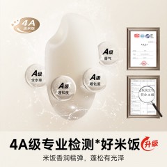 小米 1-2个人小型迷你电饭煲N1 1.6升