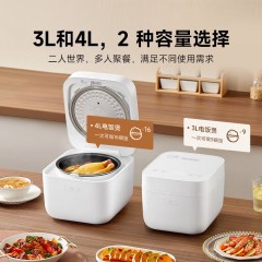 小米 快煮电饭煲家用 大容量4升