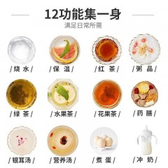 九阳 家用养生壶煮茶器  1.5L  K15D-WY669DK