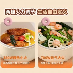 九阳 电煮锅宿舍学生煮面锅 1.6L  HG16-G169