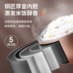 九阳  家用多功能电饭煲  4L F40FZ-F339