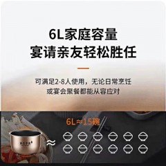 九阳 电饭煲家用智能预约电饭锅铜匠厚釜 6L Y-60C32