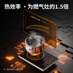 九阳 电磁炉家用赠炒锅  2200w  C22S-N1950