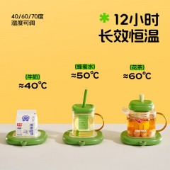 大宇（DAEWOO）暖杯垫+花茶壶+分享杯（组合）25w 700mL花茶壶,100mL*2分享杯 IC06+IC06-B