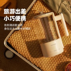 大宇（DAEWOO）mini养生壶 600mL YS2-DNH