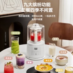 大宇（DAEWOO）破壁营养调理机  500W FP03