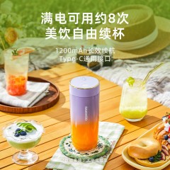 大宇（DAEWOO）便携式果汁杯 40W ZB12