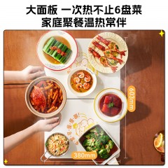 大宇（DAEWOO）折叠式暖菜板 280W WB09
