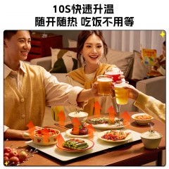 大宇（DAEWOO）折叠式暖菜板 280W WB09