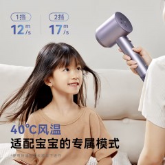 大宇（DAEWOO）高速吹风机 1400W HD04 PRO
