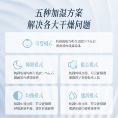 大宇（DAEWOO）纯净型加湿器 12W PH05S