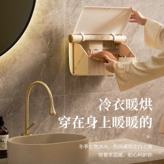 大宇（DAEWOO）壁挂折叠干衣机 100W DB04