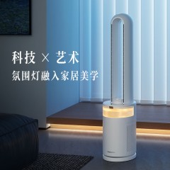 大宇（DAEWOO)  无叶风扇 36W AM08