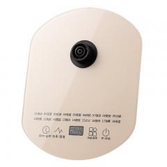 大宇（DAEWOO)   养生壶 1.8L DYYS-18L80E