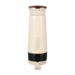 大宇（DAEWOO)  便携电热水杯 300mL D6