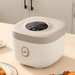 大宇（DAEWOO)  智能电饭煲 4L DYFB-424F（升级版）