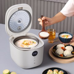大宇（DAEWOO)  智能电饭煲 3L DYFB-503L