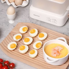 大宇（DAEWOO) 电蒸锅 500mL DYZD-20W3
