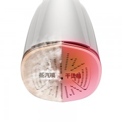 大宇（DAEWOO)  手持式蒸汽熨烫机 2100W DYGT-1308（升级版）
