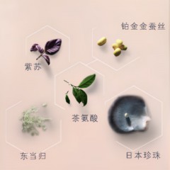 肌肤之钥  净采洁面膏（湿润型）125ml   光凝润采妆前霜 SPF25.PA++ 37ml（长管隔离）滋润