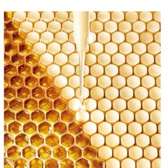 娇兰 帝皇蜂姿蜜润修护精粹水 300ml