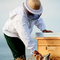 娇兰 帝皇蜂姿双效修护精华露 50ml（双管精华）