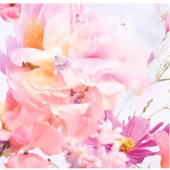 克丽丝汀迪奥 迪奥小姐花漾淡香氛50ml