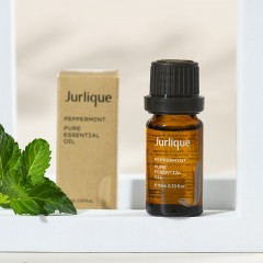 茱莉蔻 柠檬草/橙香/玫瑰/橙花/天竺葵/薰衣草/薄荷/尤加利/茶树  香薰油 10ML