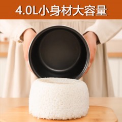 创维 电饭煲 4L F625