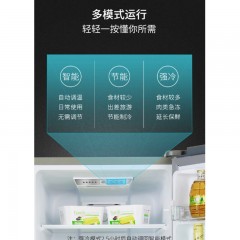 创维 冰箱  190L  BCD-190WYF_星云灰