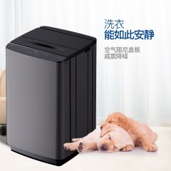 创维  洗衣机 10KG T10R55