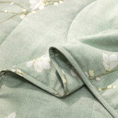 HUGO BOSS 印花轻柔被  900g 150×200cm HBXW-057