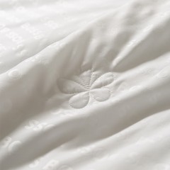 HUGO BOSS 桑蚕丝抗菌纤维被 1300g 200×230cm  HBCS-011