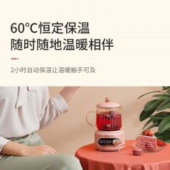 乐扣乐扣 电炖杯  500mL EJC325PIK(粉色)/EJC325WHT(白色)