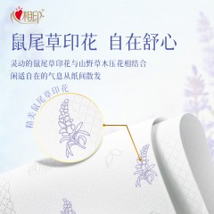 心相印  向野而生80抽18包四层塑装面巾纸（鼠尾草印花）M码  DT42080（箱装）